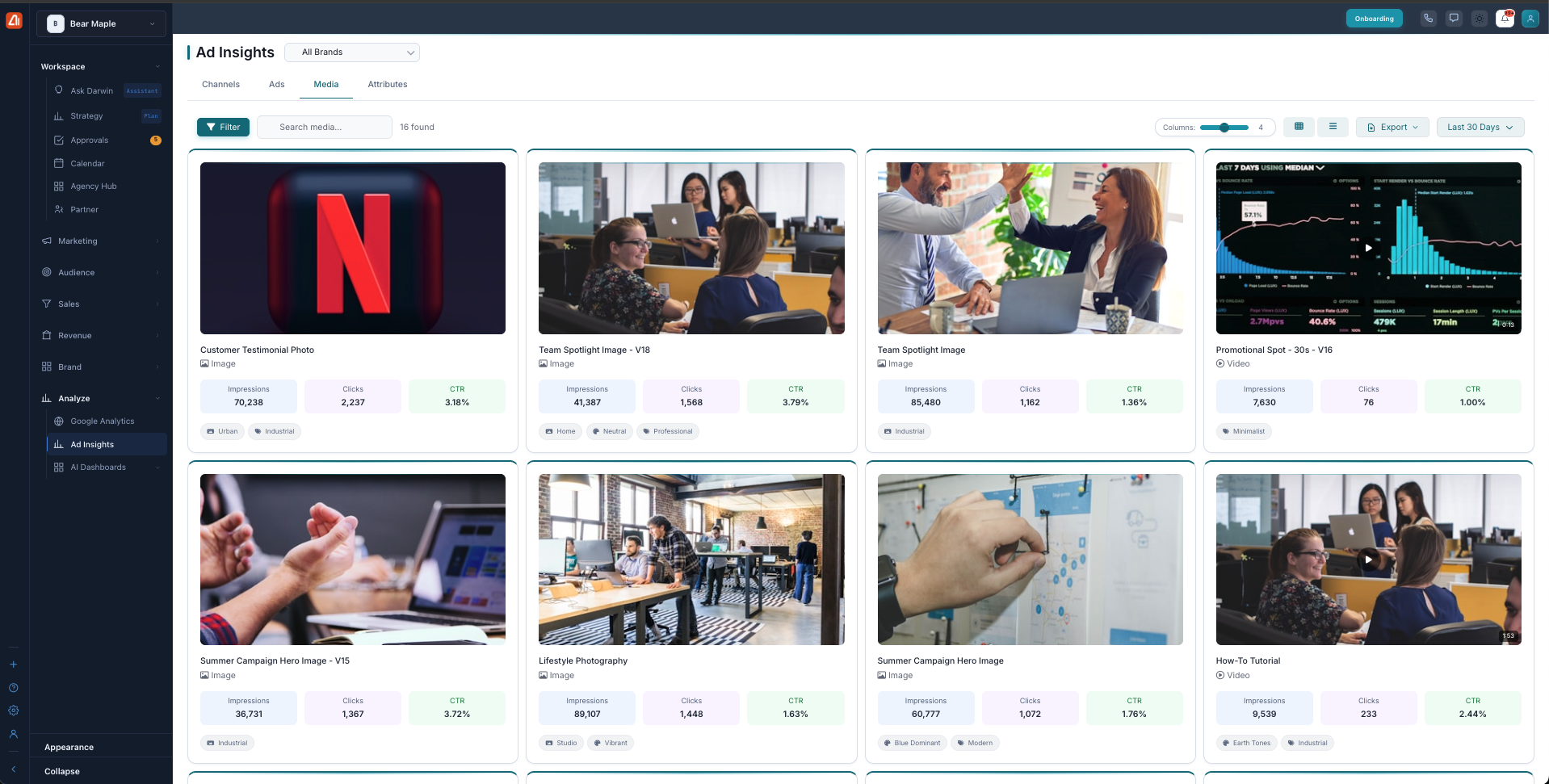 Media tab showing image and video asset cards with type, impressions, clicks, CTR, and descriptive tags