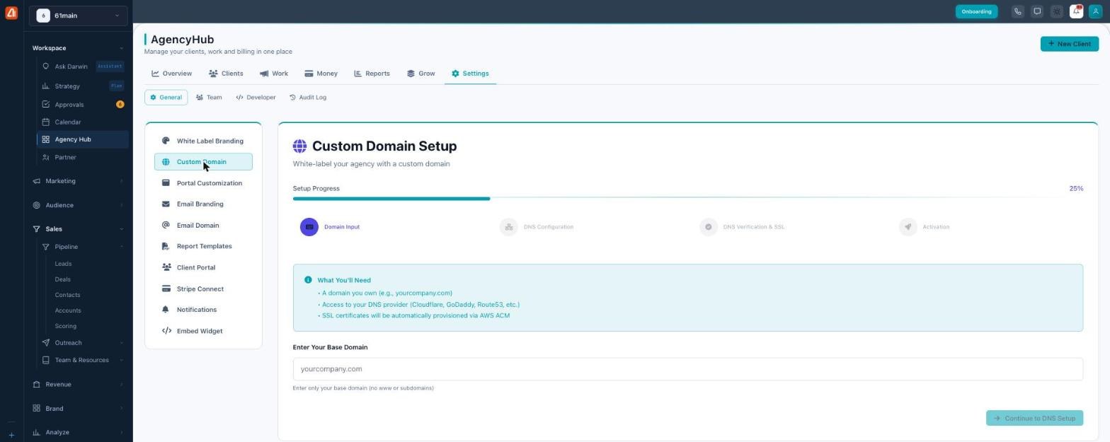 Custom Domain Setup with a four-step progress bar and a base domain input field.