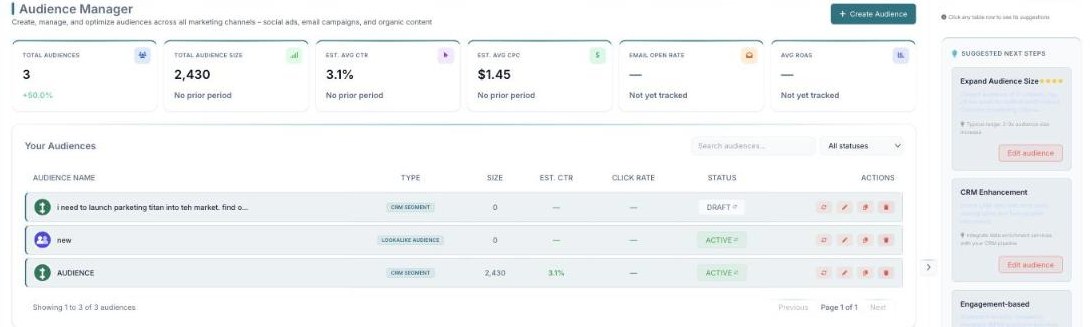 The Audience Manager with KPI cards, your audiences, and a recommendations panel.