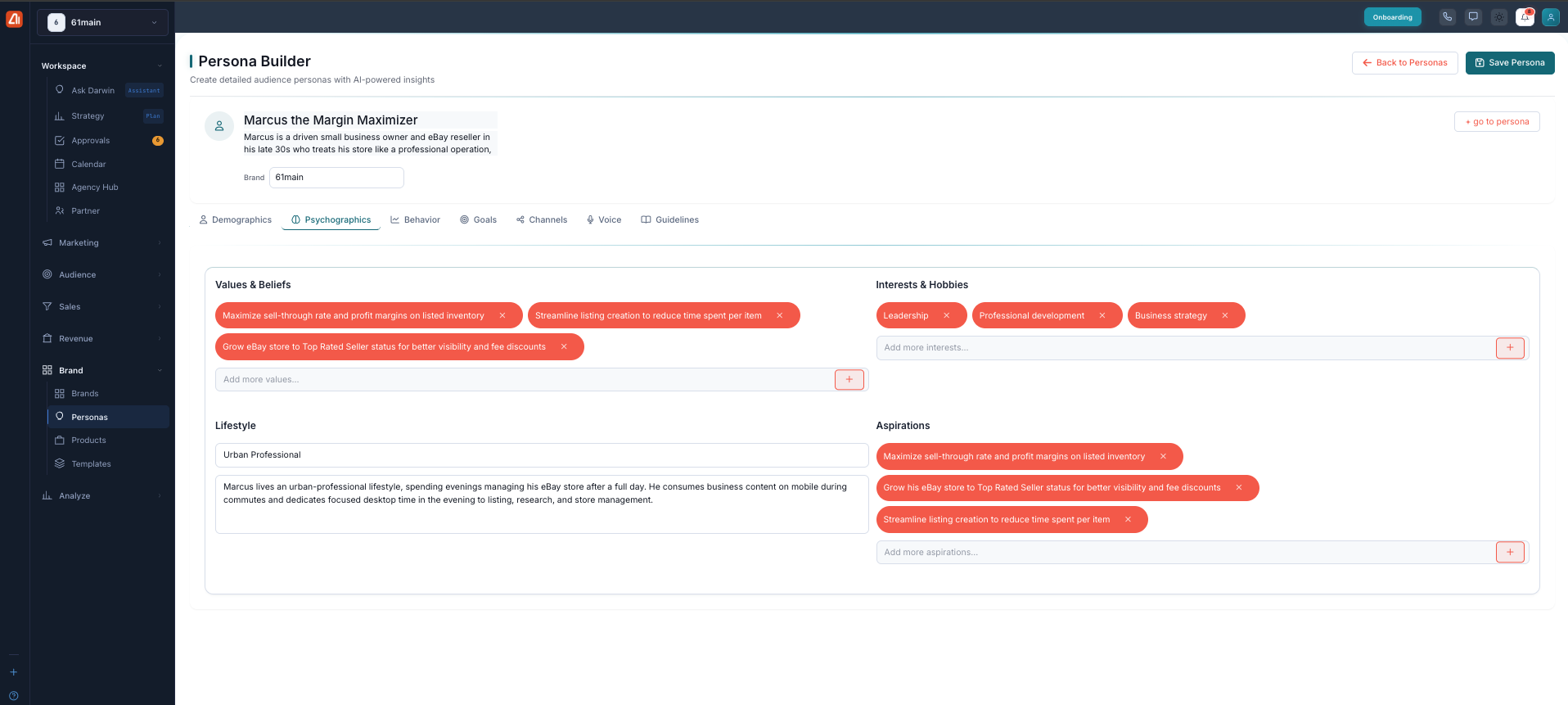 The Psychographics tab, with values, interests, lifestyle, and aspirations